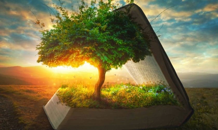 Árvore dentro da Bíblia. (Foto: Pinterest)